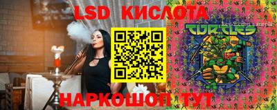 амф Заволжье