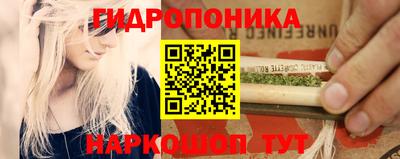 прущие крисы Заводоуковск