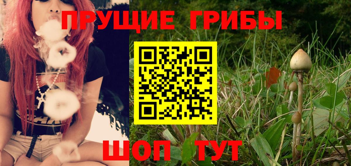 Псилоцибиновые грибы GOLDEN TEACHER  Псилоцибиновые грибы MAGIC MUSHROOMS  Вход с VPN  Ишимбай 